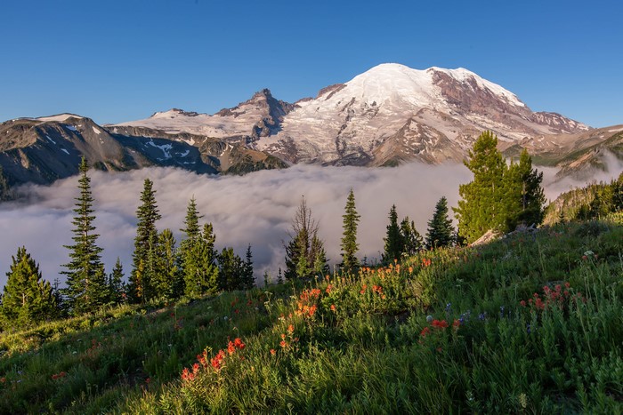 4K View of Mount Rainier National Park