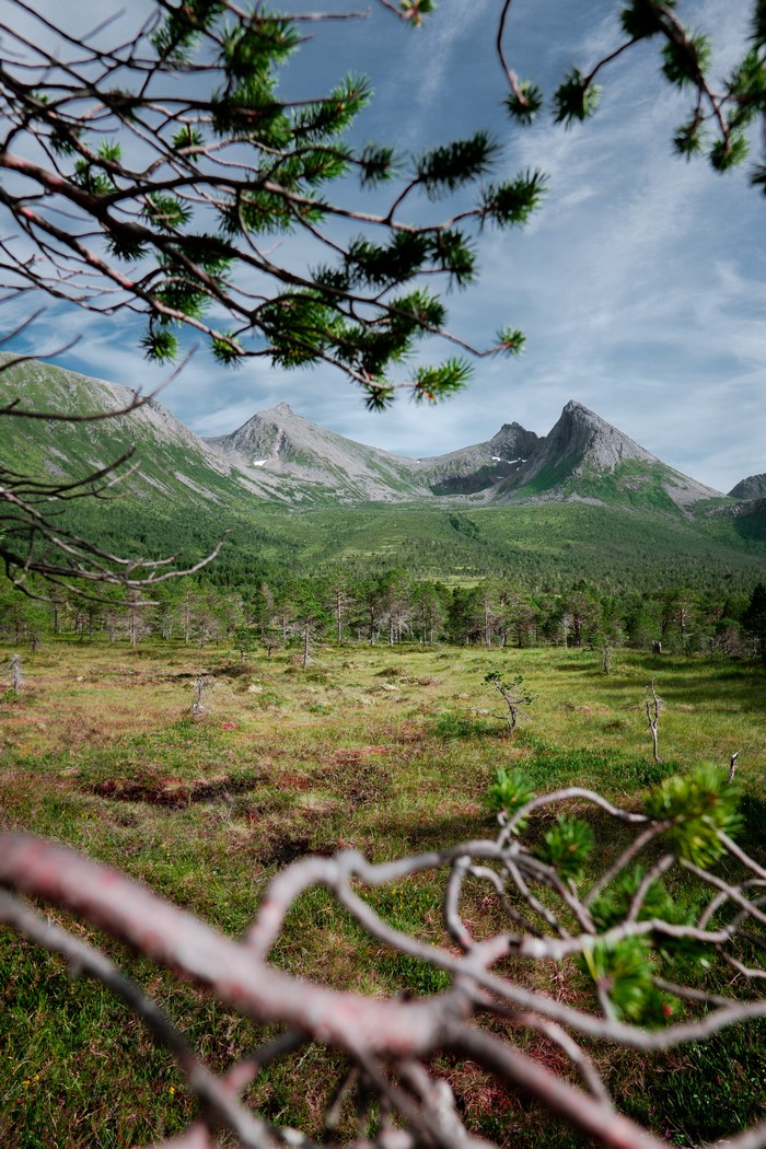 4K Northern Norway Mountains and Forests