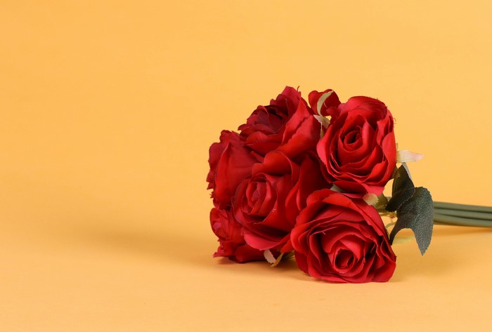Bouquet of red roses on a yellow background