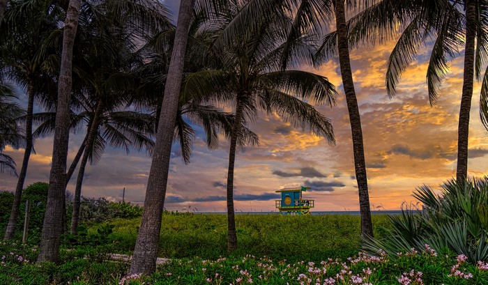 Lifeguard tower on Miami Beach at sunset with palm trees