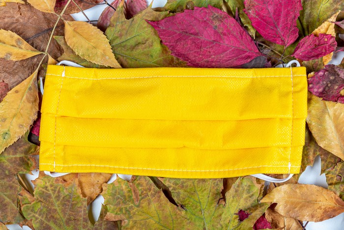 Yellow face mask on autumn leaves