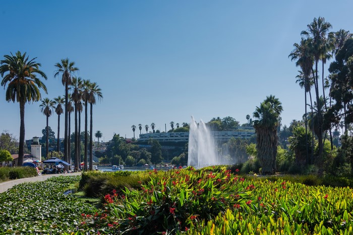 Echo Park Lake Fountain with Palm Trees in Los Angeles