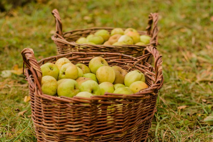 Apples in Wicker Baskets