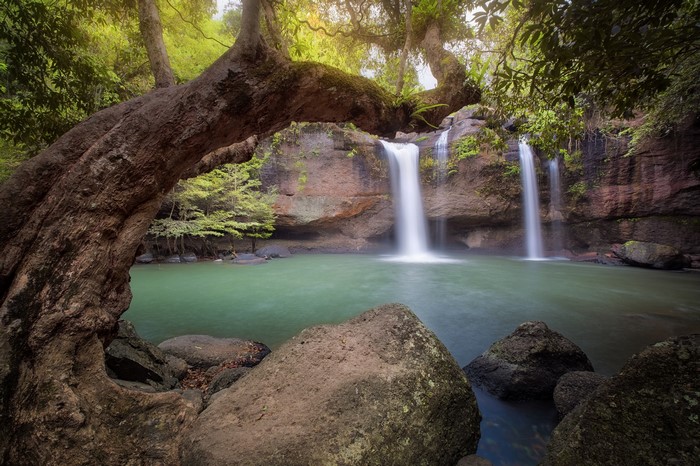 4K Waterfalls and Trees in a Forest