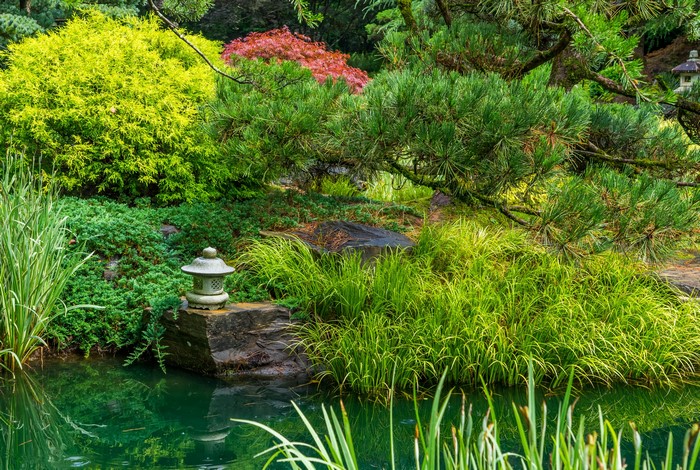 Japanese garden with pond and stone lantern