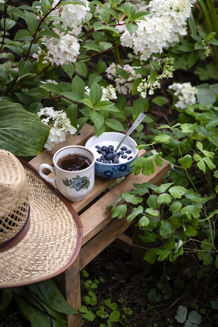 Yogurt with blueberries and tea in a garden