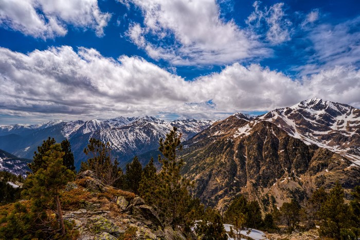 Snow-capped mountains and pine trees under a cloudy sky