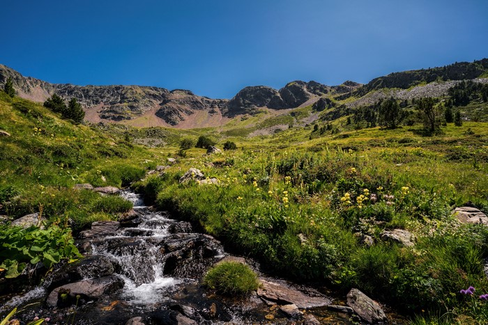 Mountain stream flowing through a grassy valley in Andorra