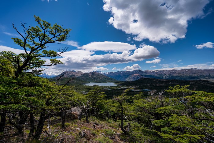 Patagonia Mountains and Lake with Trees