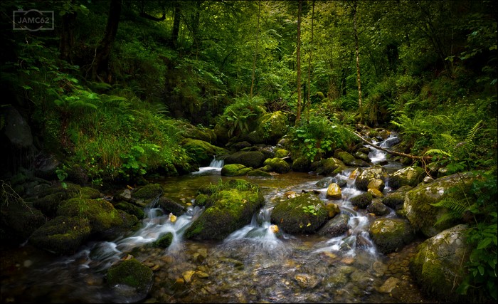 Forest stream with mossy stones in Asturias, Spain