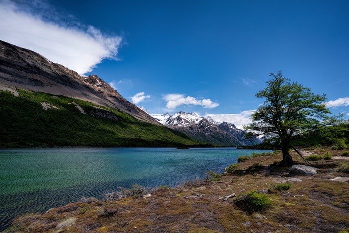 Laguna Hija, Argentina: Mountains and Lake with Tree