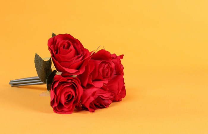 Bouquet of red roses on a yellow background