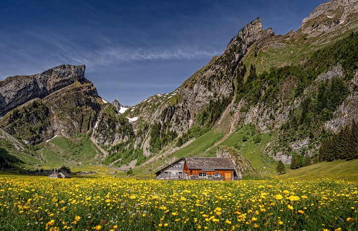 Mountain landscape with houses and dandelions in Switzerland