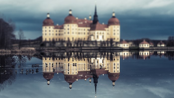 4K Moritzburg Castle reflection with birds in Saxony, Germany
