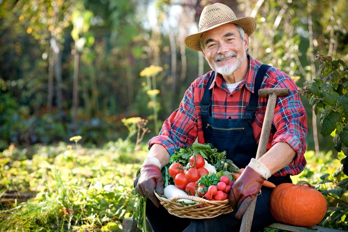 Farmer with Harvested Vegetables and Pumpkin