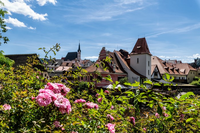 Cesky Krumlov, Czech Republic, Houses, Flowering trees