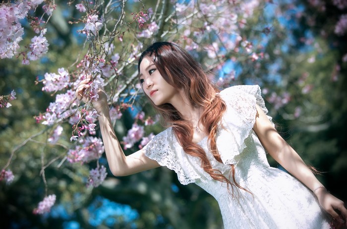 Asian woman in white dress among sakura branches