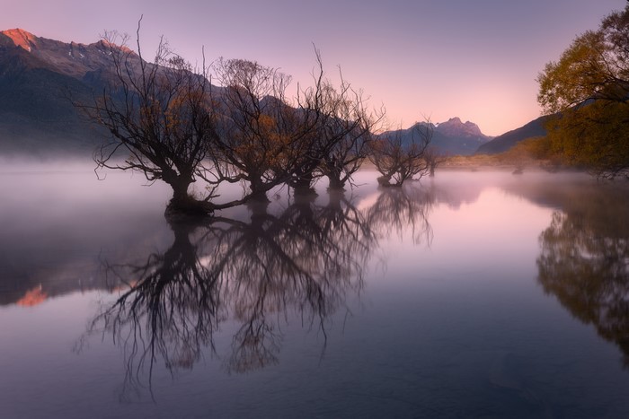 Autumn fog over Lake Wakatipu with trees and mountains