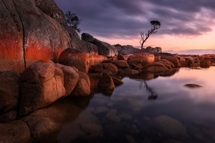 Bay of Fires Australia Stones Evening