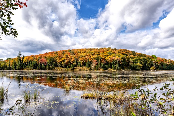 Autumn forest reflecting in a lake in Canada