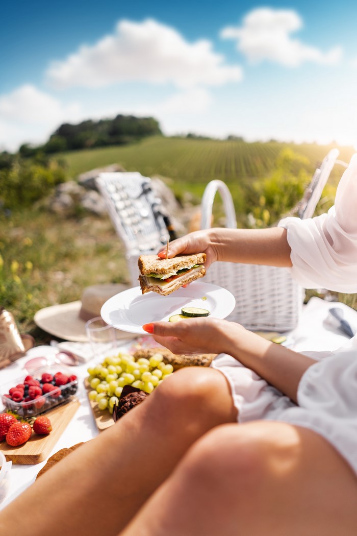 Picnic with sandwich and fruit
