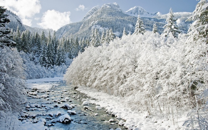 Snowy mountain landscape with a river and evergreen trees