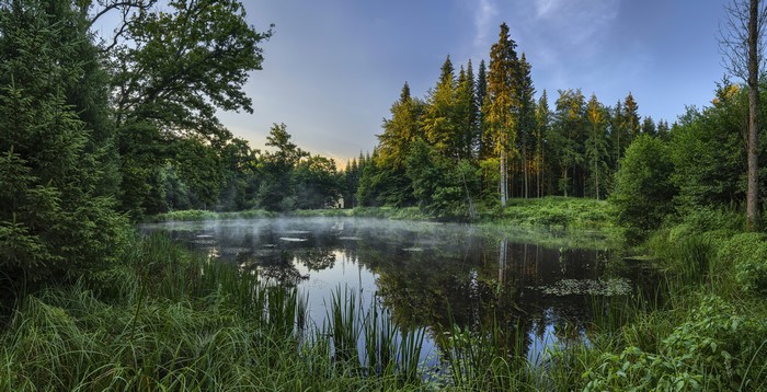 Lake and forest in Bavaria, Germany