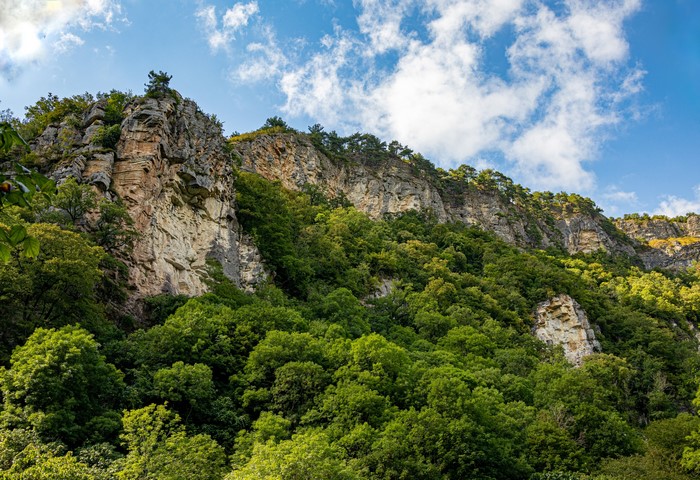 Rocky mountain cliff face with green trees and blue sky