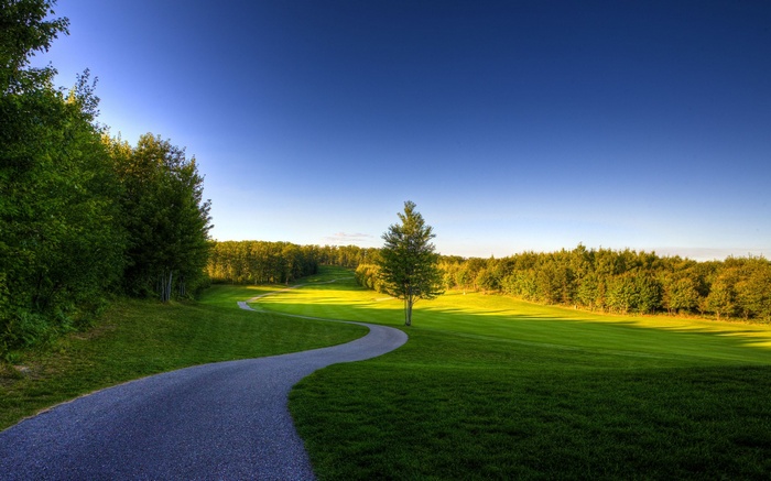 A winding path through a green golf course with trees
