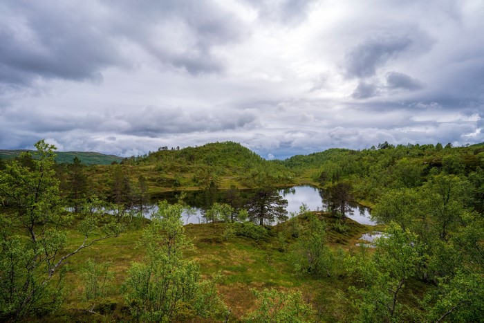 Sjunkhatten National Park, Norway, Trees, Clouds