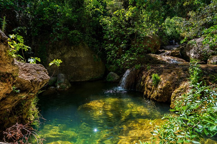 4K Spain Stream Stones Trees