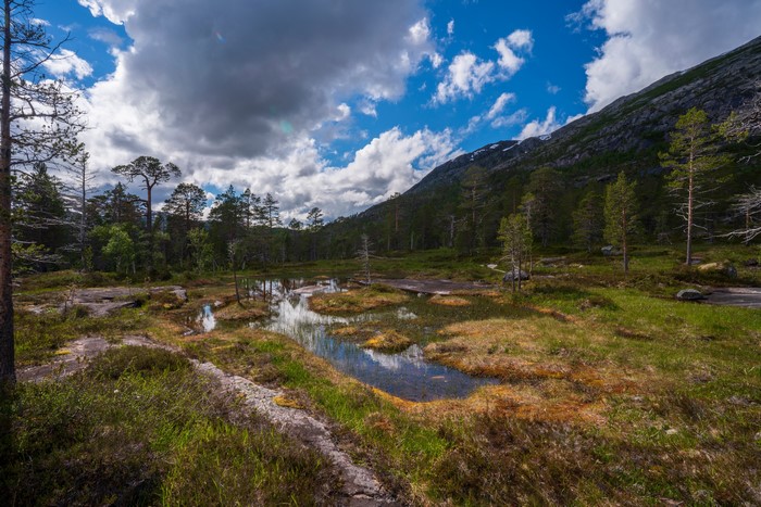 Rago National Park, Norway: Mountains, Trees, and Clouds