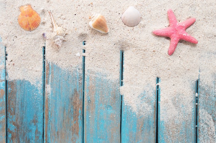 Shells and starfish on sand and wood planks