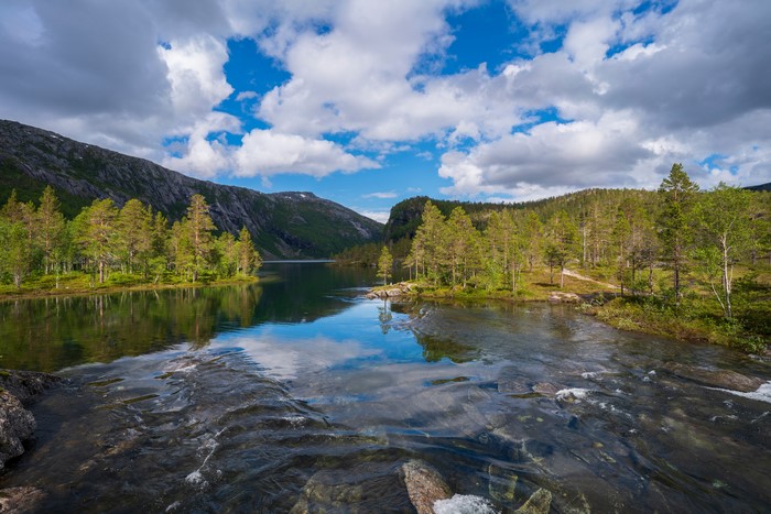Rago National Park, Norway: River, Mountains, and Trees