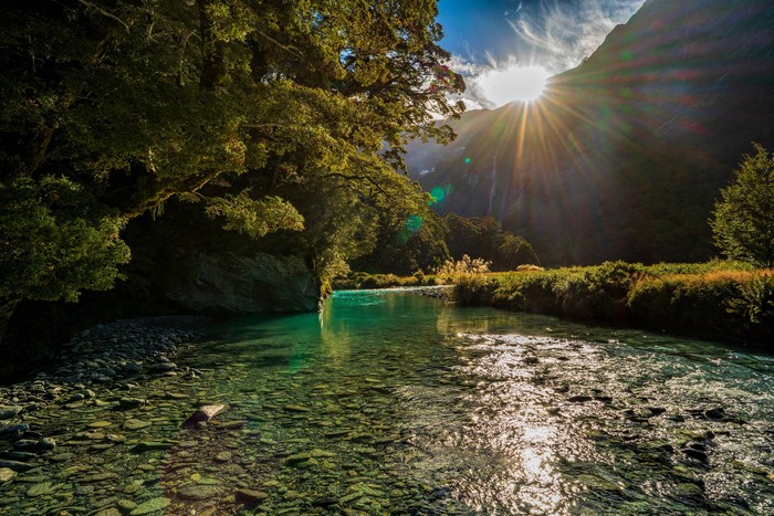 4K Clear River in Mount Aspiring National Park