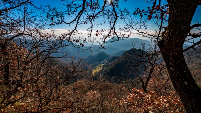 Mountains and Trees in Santa Maria de Besora, Spain