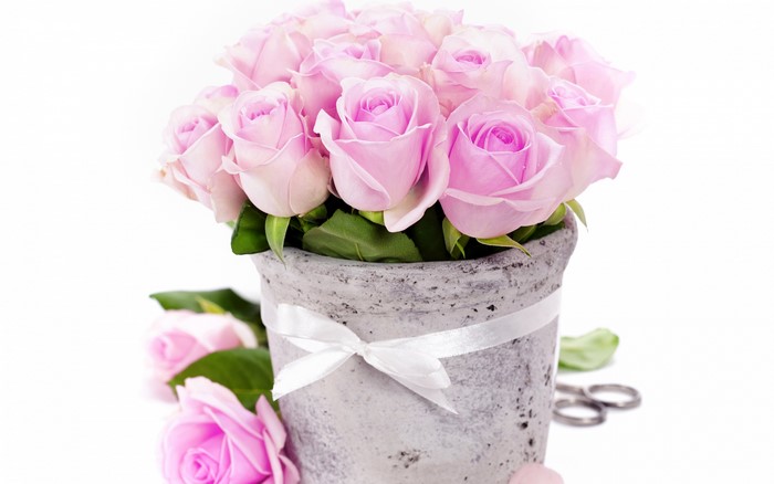 Pink Roses Bouquet in a Pot