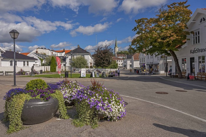 Street in Lillesand, Norway with houses and flowers