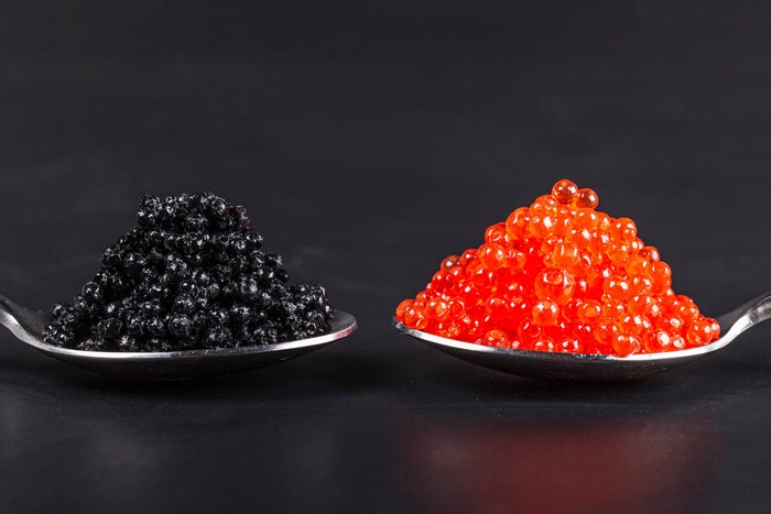 Black and red caviar on spoons, gray background