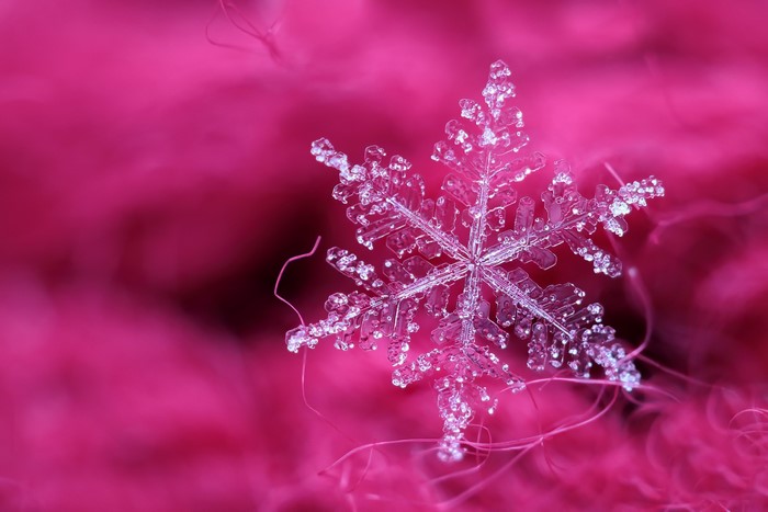 Macro shot of a snowflake on pink fabric