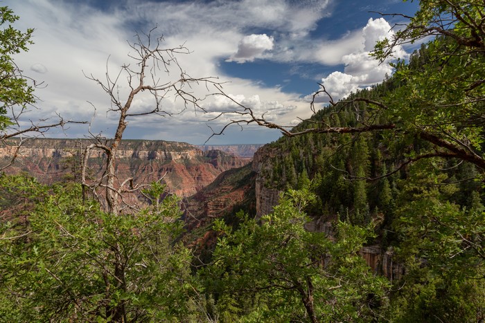 Grand Canyon National Park, Arizona, USA