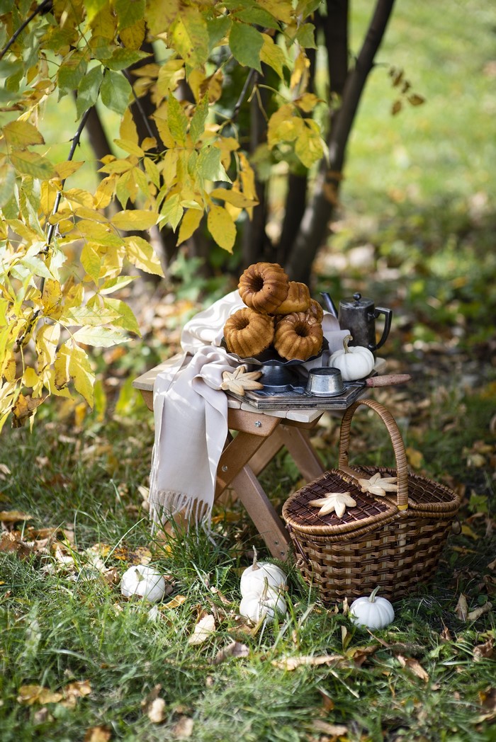 Autumn picnic with bundt cakes and pumpkins