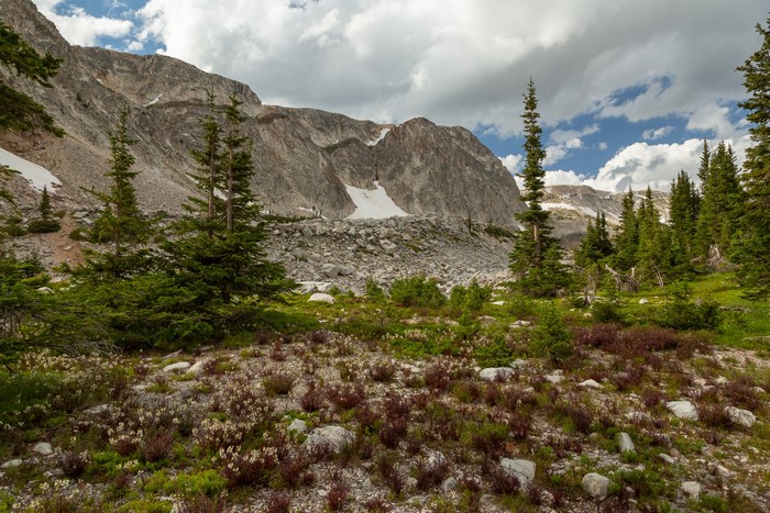 Mountains and trees in Medicine Bow-Routt National Forests, USA