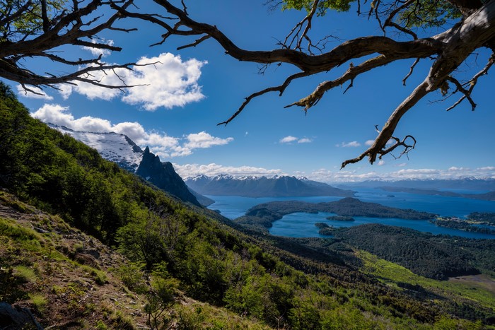 Bariloche Patagonia Argentina Mountains Lake Scenery Branches