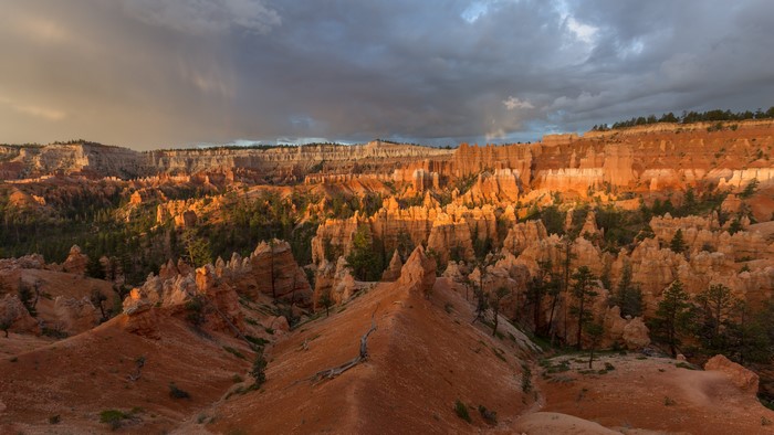 4K Scenic View of Bryce Canyon National Park