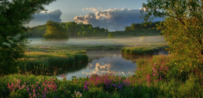 Morning Fog Over River in Wellington County, Canada
