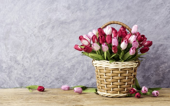 Tulips in a Wicker Basket