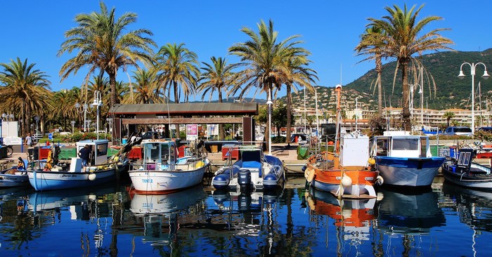 Boats docked in a marina with palm trees and hills