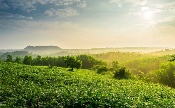 Misty hills and green fields at sunrise