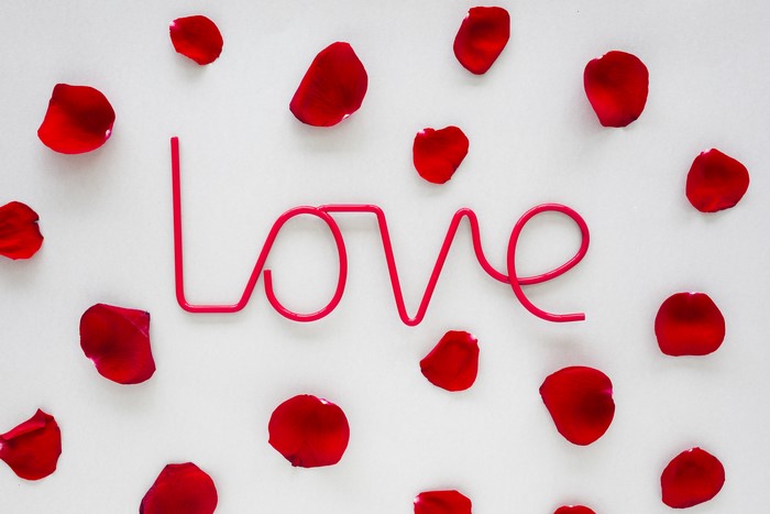 Red rose petals scattered around the word LOVE